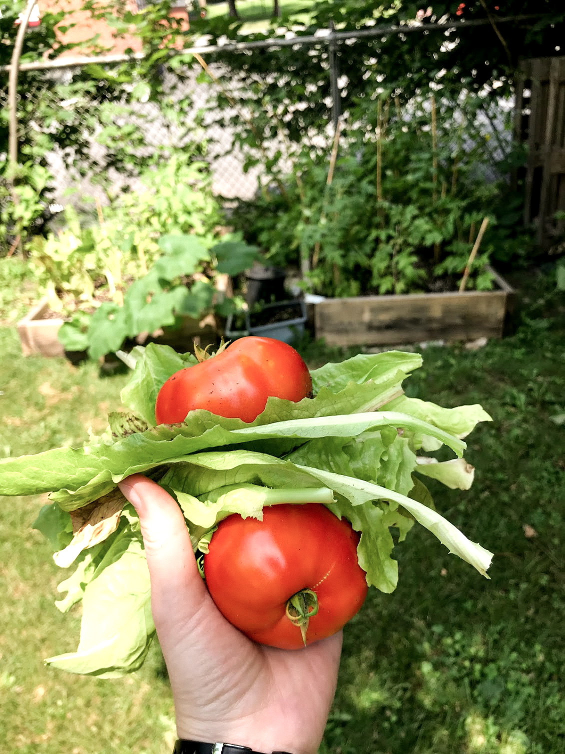 Raised beds pt 2 edited 48