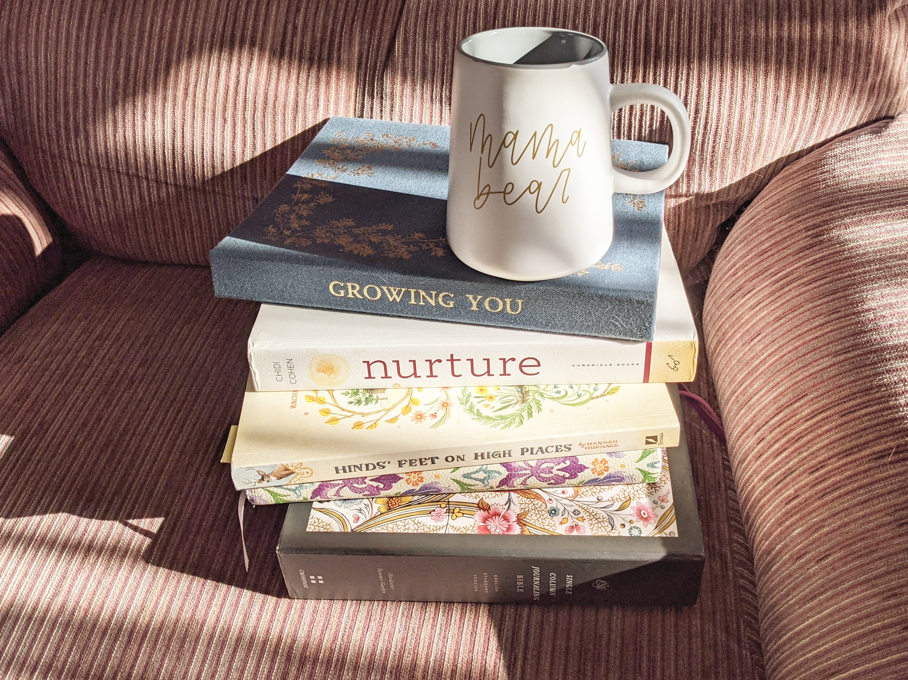 IMG 20210204 115240 387